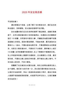 2025年安全觀后感