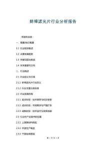 蚌埠濾光片行業分析報告