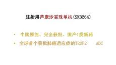 注射用蘆康沙妥珠單抗2025