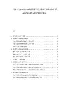 2025-2030固態電解質界面穩定性研究及電池廠技術路線選擇與投后管理報告