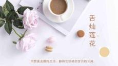 大學(xué)語(yǔ)文：舌燦蓮花贊美PPT教學(xué)課件