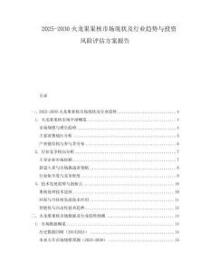 2025-2030火龍果果核市場現(xiàn)狀及行業(yè)趨勢與投資風險評估方案報告