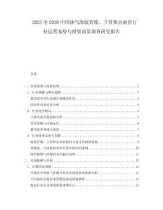 2025至2030中國油氣海底管纜、立管和出油管行業運營態勢與投資前景調查研究報告