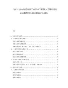 2025-2030海洋石油平臺用水下機器人關鍵部件行業市場供需分析及投資評估報告