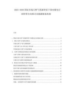 2025-2030國際市場天然氣資源背景下國內煤電行業轉型方向探討及能源儲備機制