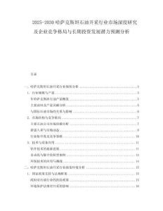 2025-2030哈薩克斯坦石油開采行業市場深度研究及企業競爭格局與長期投資發展潛力預測分析