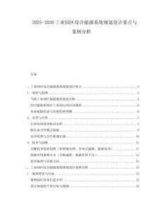 2025-2030工業(yè)園區(qū)綜合能源系統(tǒng)規(guī)劃設(shè)計要點與案例分析