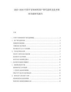 2025-2030中國半導體材料國產替代進程及技術壁壘突破研究報告