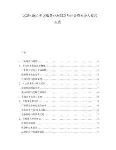 2025-2030養老服務業態創新與社會資本介入模式報告