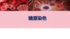 《血液學檢驗》課件——糖原染色