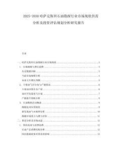 2025-2030哈薩克斯坦石油勘探行業(yè)市場(chǎng)現(xiàn)狀供需分析及投資評(píng)估規(guī)劃分析研究報(bào)告
