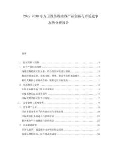 2025-2030東方衛視傳媒內容產品創新與市場競爭態勢分析報告