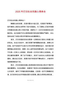 2025年打掃社會實踐心得體會