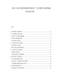 2025-2030發展策略研究報告廣告傳媒行業投資融資風險分析