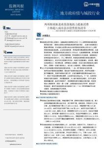 中誠(chéng)信 -地方政府債與城投行業(yè)監(jiān)測(cè)周報(bào)2025年第29期：兩項(xiàng)財(cái)政貼息政策落地助力提振消費(fèi)，吉林超八成市縣區(qū)隱性債務(wù)清零