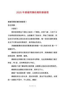 2025年感謝同事的離職感謝信