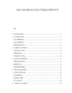 2025-2030根炒忘左班眾平發(fā)細(xì)比并精許針究
