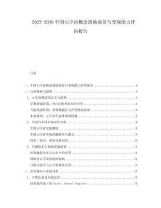 2025-2030中國元宇宙概念落地場景與變現能力評估報告