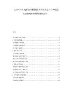 2025-2030電梯安全檢修技術升級改造與特種設備檢驗檢測標準規劃分析報告