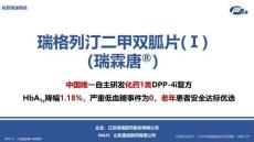 瑞格列汀二甲雙胍片(Ⅰ)2025