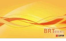 2022年優(yōu)秀-BRTXXXX媒體簡(jiǎn)介