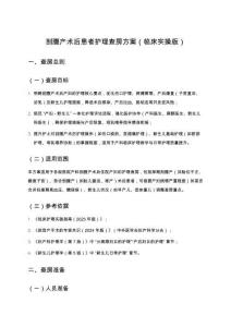 剖腹產(chǎn)術(shù)后患者護(hù)理查房方案（臨床實(shí)操版）