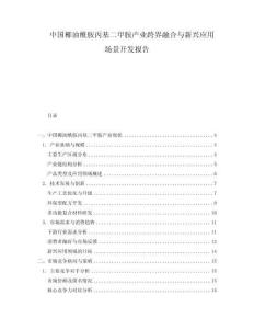 中國椰油酰胺丙基二甲胺產(chǎn)業(yè)跨界融合與新興應(yīng)用場景開發(fā)報告