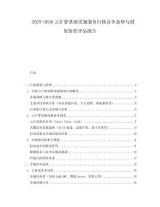 2025-2030云計算基礎設施服務市場競爭態勢與投資價值評估報告