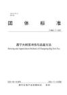 昌寧大樹茶沖泡與品鑒方法(T-CNHC 11—2025)