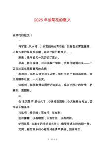 2025年油菜花的散文