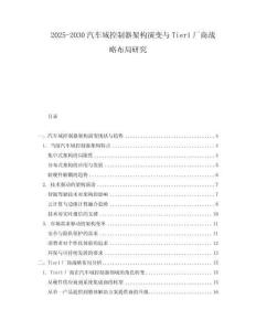 2025-2030汽車域控制器架構(gòu)演變與Tier1廠商戰(zhàn)略布局研究