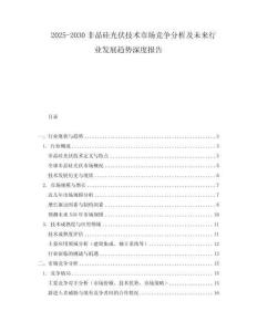 2025-2030非晶硅光伏技術市場競爭分析及未來行業發展趨勢深度報告