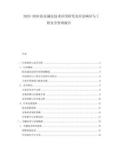 2025-2030防災減災技術應用研究及應急響應與工程安全管理報告
