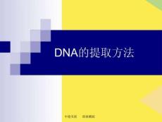 DNA的提取方法完整版資料
