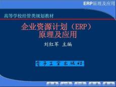 ERP的簡(jiǎn)單介紹完整版資料