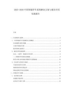 2025-2030中國智能停車系統解決方案與城市應用實踐報告