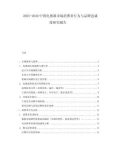 2025-2030中國電感器市場消費者行為與品牌忠誠度研究報告