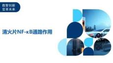 清火片NF-κB通路作用-洞察及研究