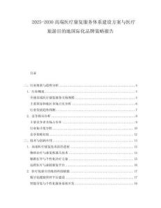 2025-2030高端醫療康復服務體系建設方案與醫療旅游目的地國際化品牌策略報告
