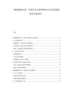 椰油酰胺丙基二甲胺行業(yè)分銷網(wǎng)絡(luò)布局與終端覆蓋效率分析報告
