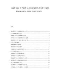 2025-2030電子商務行業市場發展現狀分析與發展趨勢深度解析及商業價值評估報告