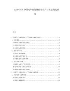 2025-2030中國汽車自媒體內容生產與流量變現研究