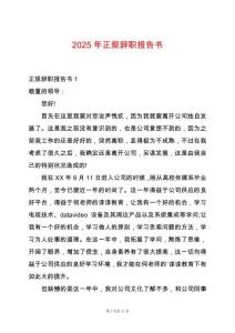 2025年正規辭職報告書