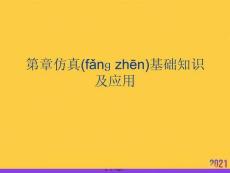 仿真基礎(chǔ)知識(shí)及應(yīng)用推選優(yōu)秀ppt