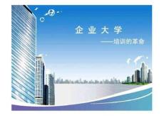 企業(yè)大學(xué)經(jīng)典實(shí)用有價(jià)值培訓(xùn)之四完整版資料