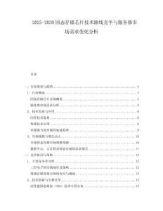 2025-2030固態(tài)存儲芯片技術(shù)路線競爭與服務器市場需求變化分析