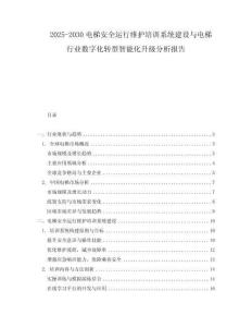 2025-2030電梯安全運(yùn)行維護(hù)培訓(xùn)系統(tǒng)建設(shè)與電梯行業(yè)數(shù)字化轉(zhuǎn)型智能化升級分析報(bào)告