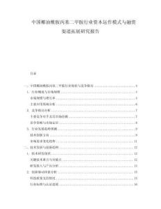中國椰油酰胺丙基二甲胺行業資本運作模式與融資渠道拓展研究報告