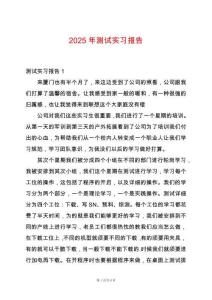 2025年測試實習報告