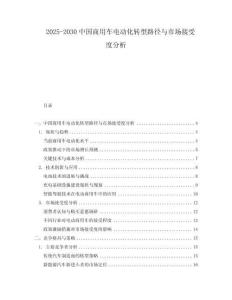 2025-2030中國(guó)商用車(chē)電動(dòng)化轉(zhuǎn)型路徑與市場(chǎng)接受度分析